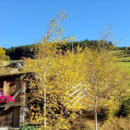 Pension Verdinserhoehe Schenna Dış mekan fotoğraf